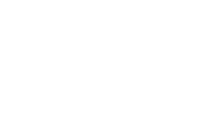 speed-net